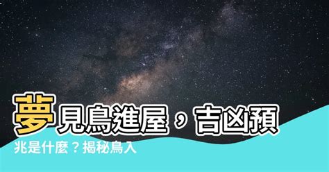 鳥飛入屋|【家裡飛進鳥】家裡飛進鳥，象徵吉凶？「最常聽見」的5大迷信。